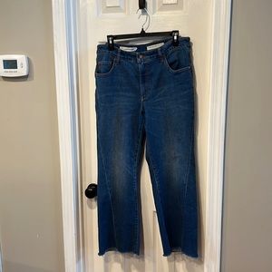 Pilcro and Letterpress Jeans, Size 32, High-Rise Flare, great condition.